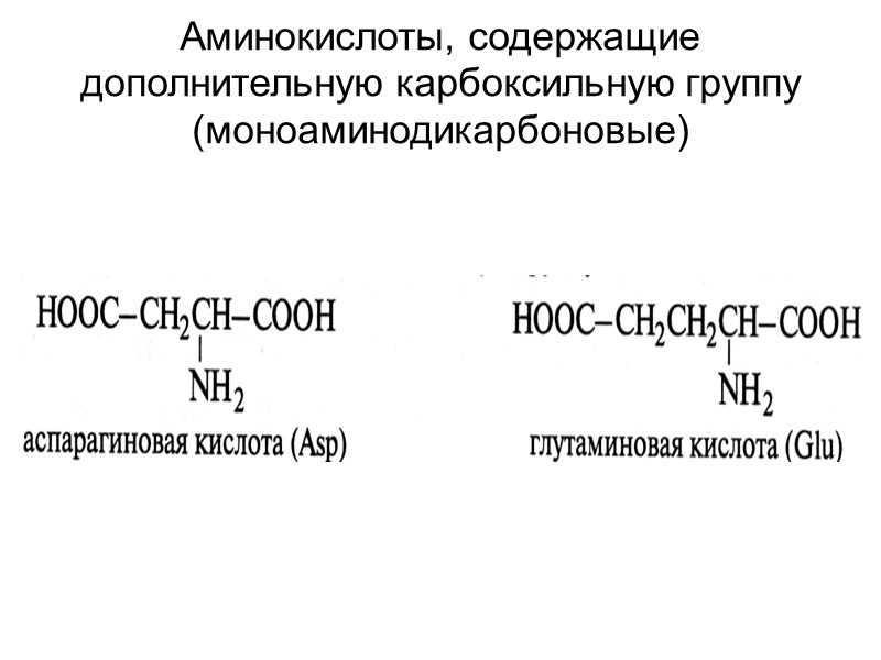 Аминокислоты, содержащие дополнительную карбоксильную группу (моноаминодикарбоновые)